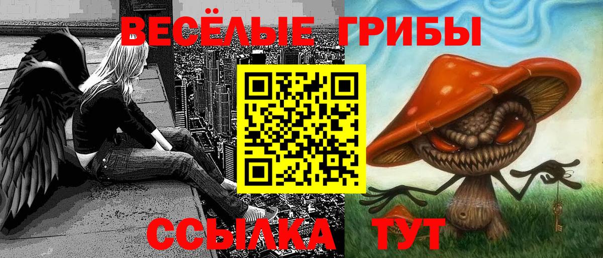 Псилоцибиновые грибы Psilocybine cubensis  Вход с VPN  Алатырь 